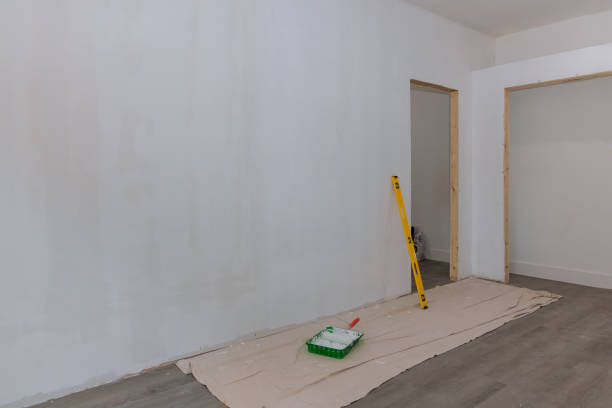 Best Basement Mold Removal  in Metlatla, AK