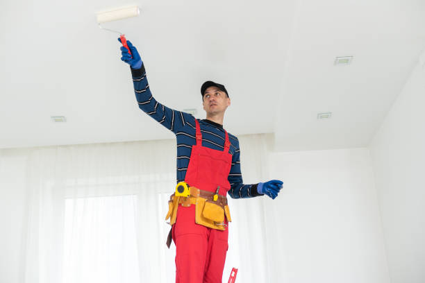 Best Mold Damage Restoration  in Metlatla, AK