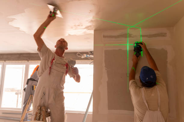 Best Black Mold Removal  in Metlatla, AK