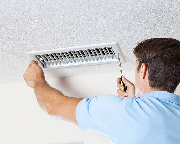 Best Mold Remediation for Healthcare Facilities  in Metlatla, AK